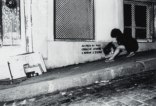 florida toute ses musique